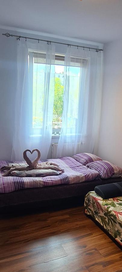 Sweet Home & Sweet Cats & Fast Internet Breslavia Exterior foto