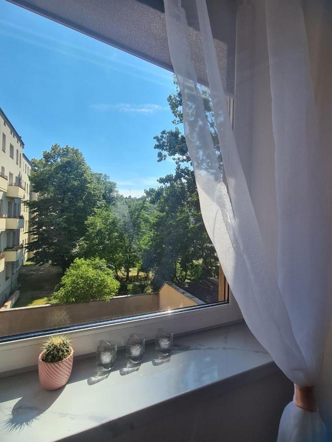 Sweet Home & Sweet Cats & Fast Internet Breslavia Exterior foto