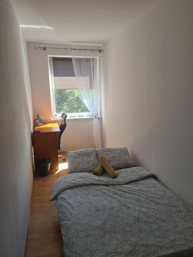 Sweet Home & Sweet Cats & Fast Internet Breslavia Habitación foto